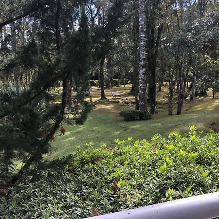 Flat Luxo Mountain Village Canela Luaran gambar